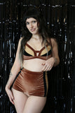 Ziggy Retro Velvet Bikini Top