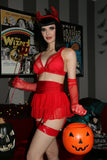 Vixen Lingerie Skirt