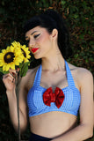 FINAL SALE RUBY SLIPPERS Blue Gingham Bikini Top
