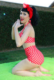 Aubrey High Waist Bottom